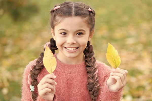 Маленька дитина з осіннім листям. Щаслива дівчинка в осінньому лісі. Щасливе дитинство. Шкільний час. Осіннє листя і природа. Модна краса. Відчуваю себе комфортно. Час відпочити. Закохані в природу — стокове фото