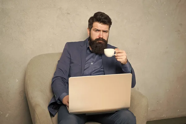 Multitasking business. Modern businessman. Bearded man. Mature hipster has beard. Businessman work on laptop. Man. man drink coffee in business office. Responding on business email. digital marketing