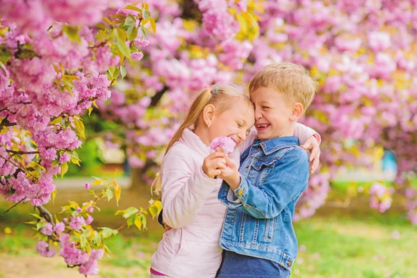 Tender love feelings. Little girl enjoy spring flowers. Giving all flowers to her. Surprising her. Kids enjoying pink cherry blossom. Romantic babies. Couple kids on flowers of sakura tree background