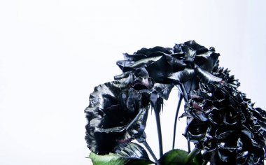 Çiçek kaplı metalik boya. Metal çiçek. Soyut sanat. Sonsuz güzellik. Moda buketi. Botanik kavramı. Dövme ve heykel. Güzel siyah gümüş çiçek. Metalik çelik renk. Çiçek dükkanı
