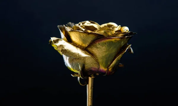 Lusso e successo. decorazione metallizzata. concetto antico. bellezze naturali. Rosa d'oro. ricchezza e ricchezza. fiore d'oro. arredamento negozio di fiori. attività di floristica. Vintage e gioielli. anniversario — Foto Stock