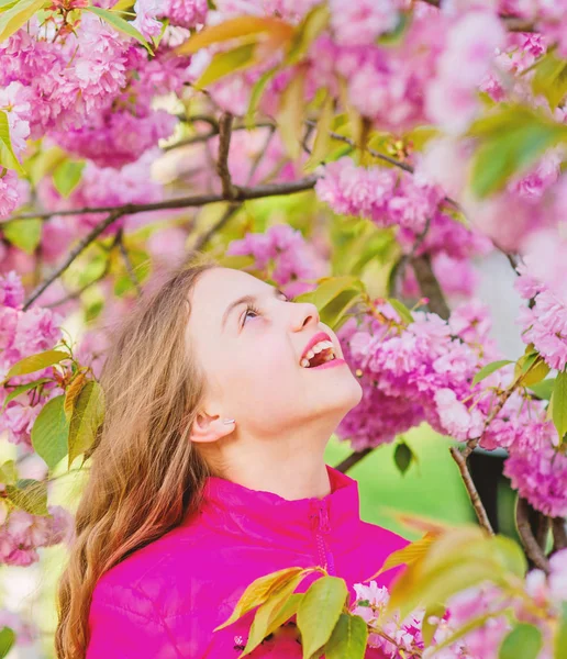 Urlop letni. Piękno dzieciństwa. szczęśliwy dziewczyna w wiśniowym kwiatem. Sakura drzewo kwitnące. mała dziewczynka w wiosennym kwiatem. Spa pielęgnacyjne. Naturalne Kosmetyki dla skóry. zapach kwiatów, Alergia. Ekspresowa pozytywność — Zdjęcie stockowe