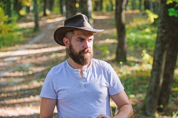 Brave cow-boy. camping et randonnée. mâle mature au regard brutal. Homme barbu en chapeau de cow-boy marcher dans le parc en plein air. homme hipster se détendre dans la forêt d'automne. Temps ensoleillé du printemps. cow-boy sérieux et confiant — Photo