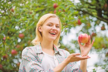 Bahar hasat. yaz meyve. Orchard, elma bahçesinde bahçıvan kız. vitamin ve yemek diyet. sağlıklı dişler. açlık. Mutlu kadın yeme elma. Yeşil doğa. Parkta öğle yemeği. sonbaharda hasat