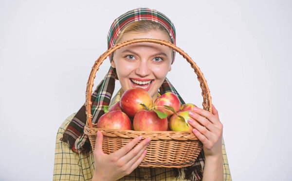 Идеальное яблоко. Продуктовый магазин. Садись на диету. Женщина любит натуральные фрукты. Сельский садовник собирает яблоки. Девушка садовник деревенский стиль держать яблоко белого фона. Здравоохранение и витаминное питание
