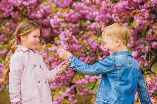 彼女を驚かせたピンクの桜を楽しむ子供たち。ロマンチックな赤ちゃん彼女にすべての花を与える。桜の背景の花にカップルの子供たち。優しい愛の気持ち。小さな女の子は春の花を楽しむ — ストック写真