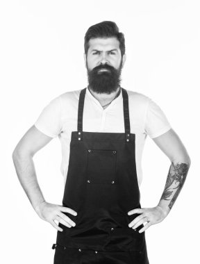 Sakallı hipster önlük giyer. Adam acımasız hipster pişirir. Fast food restoran. Ciddi bir sakallı aşçı. Restoran personeli. Hipster profesyonel barista apron üniforma. Garson ya da barmen. Hazır servis içeceği