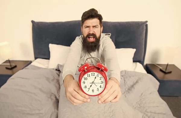 Problem early morning awakening. Get up with alarm clock. Overslept again. Tips for waking up early. Man bearded sleepy face bed with alarm clock in bed. What terrible noise. Turn off that ringing