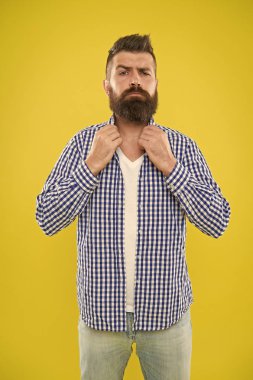 Papyon olduğunu tahmin edebiliyorum. Sakal moda ve Kuaför kavramı. Adam hipster sakal sarı arka plan sakallı. Kuaför ipuçları sakal korumak. Sakal bıyık bakım. Hippi görünümü. Duygusal ifade