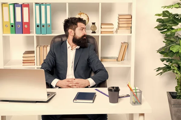 Office staff concept. Businessman in charge of business solutions. Developing business strategy. Risky business. Man bearded boss sit with laptop. Manager solving business problems. Office routine