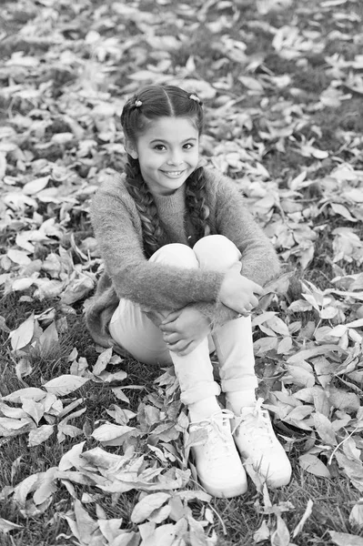 Niña feliz en el bosque de otoño. Hojas de otoño y naturaleza. Feliz infancia. Hora del colegio. Niño pequeño con hojas de otoño. Me siento cómodo. No más lluvia. Perdido en pensamientos. Lugar perfecto para alojarse — Foto de Stock