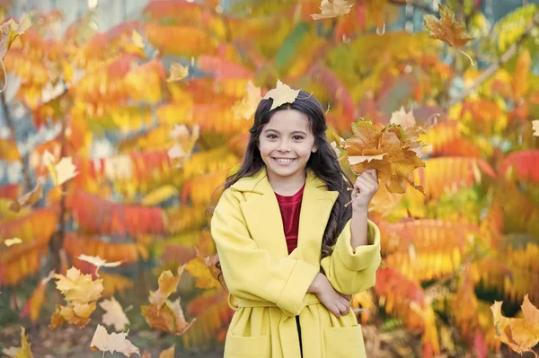 Ogni ragazza ama essere elegante. Bambina felice sorridente con foglie autunnali. Un po 'fashionista in abiti eleganti. Ragazza felice il giorno d'autunno. Mi sento comodo ed elegante — Foto Stock