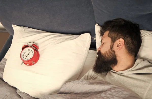 Man bearded hipster sleepy face in bed with alarm clock. Problem with early morning awakening. Get up with alarm clock. Overslept again. Tips for waking up early. Tips for becoming an early riser