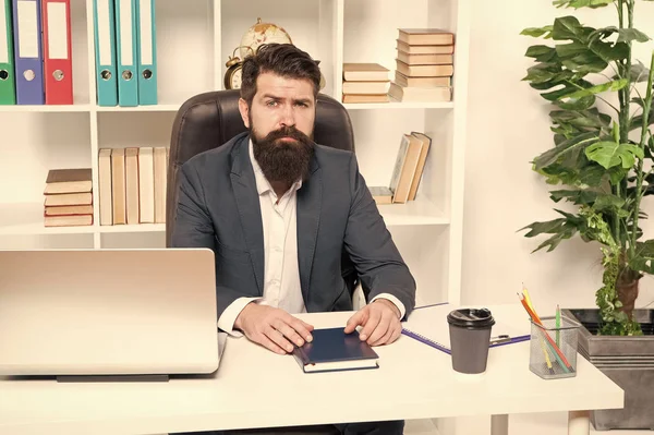 Office routine. Businessman in charge of business solutions. Developing business strategy. Risky business. Man bearded hipster boss sit office with laptop. Manager solving business problems