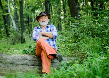 Sadece rahatla. insan ve doğa. derin ahşap yürüyüş. orman sahibi. yaz veya bahar pikniği. kıdemli adam çiftçi ormanda dinlenmek. kovboy şapkalı sakallı olgun adam. çiftçi ahşap üzerinde oturup. mutlu ormancı