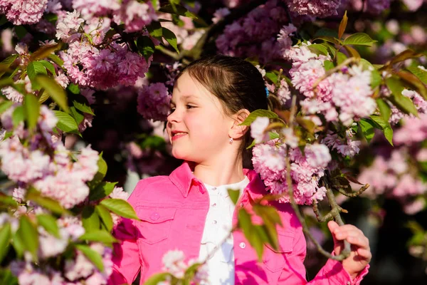여름. 어린 시절의 아름다움. 벚꽃에 행복한 소녀입니다. 벚꽃 나무가 만발합니다. 봄 꽃 꽃에 작은 소녀 아이. 스킨케어 스파. 피부를위한 천연 화장품. 꽃 냄새, 알레르기. 자연의 아름다움 — 스톡 사진