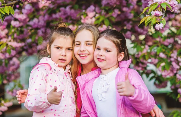 Hermanas felices en flor de cerezo. Sakura floreciendo. olor a flor, alergia. Hermandad. Cosmética natural para la piel. Verano. Belleza infantil. Día de la familia. niña pequeña niños en flor de primavera — Foto de Stock