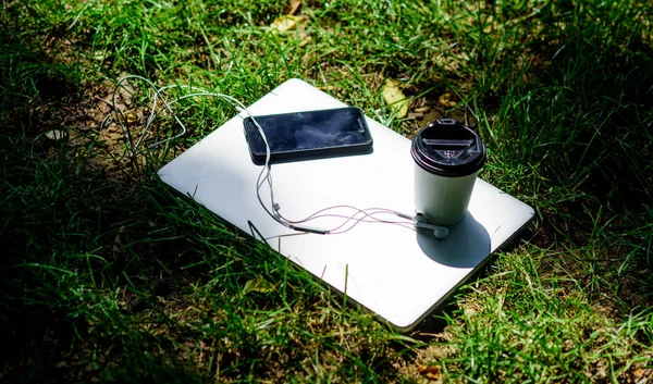 Coffee break outdoors. Summer vacation. Work and relax in natural environment. Its coffee time. Coffee take away. Laptop modern smartphone with earphones and coffee cup on green grass. Remote job