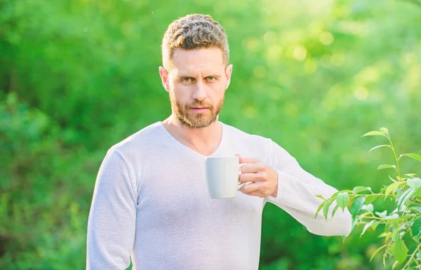 Я предпочитаю зеленый чай. Освежающий напиток. Мужчина бородатый чайный фермер держит кружку природного фона. Зеленый чай содержит биоактивные соединения, которые улучшают здоровье. Целый листовой чай. Натуральный напиток Здоровый образ жизни — стоковое фото