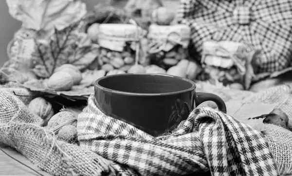 Κούπα του τσαγιού που περιβάλλεται από κόκκινο μαντήλι φόντο με φύλλα πεσμένα maple και καρύδια. Κούπα ζεστό αρωματικό τσάι ρόφημα σε κασκόλ και κεράσματα. Φθινοπωρινό ζεστή ατμόσφαιρα. Υπερθέρμανση του πλανήτη ποτών έννοια — Φωτογραφία Αρχείου