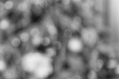 Noel kompozisyon. ufuk arka plan. Xmas önce sabah. Yeni yıl tatili. Mutlu Noeller ve mutlu tatiller. Noel. Yeni Yılınız Kutlu Olsun. Parti için davetiye. bulanık.