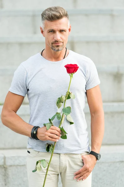 Happy birthday. Bearded man holding fresh natural birthday gift. Handsome man with red rose for birthday celebrating. The perfect way to show your birthday wishes