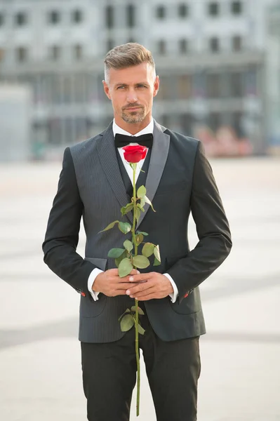 Un gentleman romantique. Homme mature macho confiant avec un cadeau romantique. Beau mec rose fleur romantique date. Capacité de surprendre. Saint Valentin et anniversaire. Services de rencontres. Comment être romantique — Photo