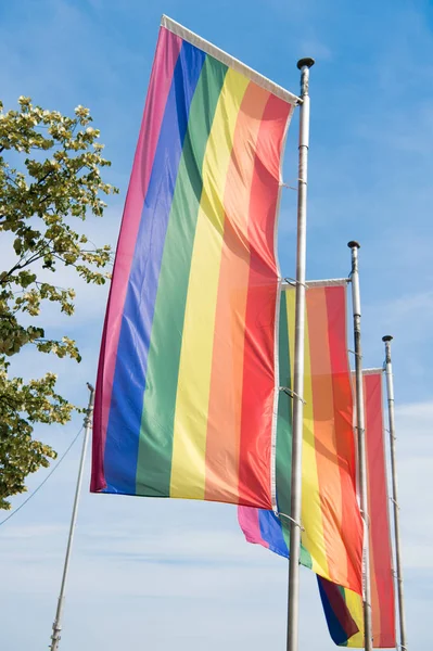 Bandeiras de orgulho arco-íris em mastins contra o céu azul. Parada de orgulho LGBT. Orgulho desfiles ao ar livre eventos comemorando lésbicas gay bissexual transexual aceitação social. Conceito de orgulho gay. Direitos legais — Fotografia de Stock