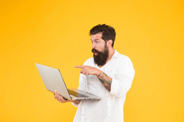 Bearded man with notebook. Online shopping. Man using notebook. Digital world. Programming concept. Programmer with laptop. Surfing internet. In search of inspiration. Online payment. Online purchase