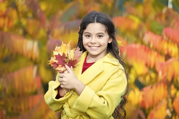 Lo stile è più di essere se stessi. Un po 'fashionista. Ragazza felice il giorno d'autunno. Bambina felice sorridente con foglie autunnali. Stile autunno ragazze. Elegante per natura — Foto Stock