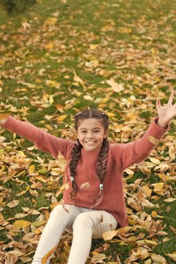 Sonbahar yaprakları ve doğa. Sonbahar yaprakları ile küçük çocuk. Sonbahar ormandaki mutlu küçük kız. Mutlu çocukluk. Okul zamanı. Etrafında olduğum için mutluyum. Aceleye gerek yok. Doğa aşığı. Tamamen ücretsiz duygu