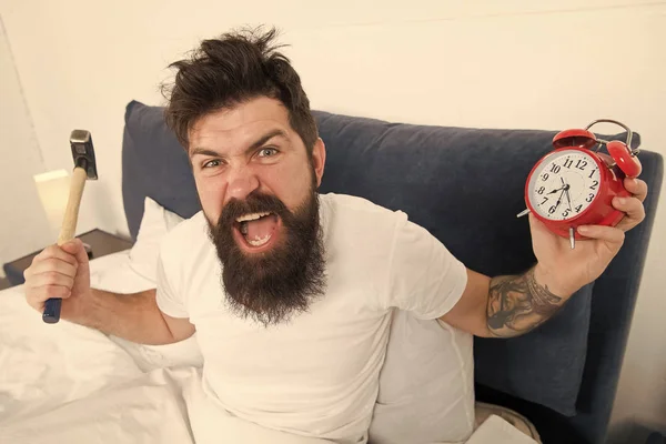 Tips for waking up early. Tips for becoming an early riser. Man bearded hipster sleepy face in bed with alarm clock. Problem with early morning awakening. Get up with alarm clock. Overslept again