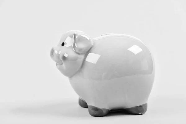 Financial education. Finances and investments bank. Better way to bank. Piggy bank adorable pink pig close up. Accounting personal accountant and family budget. Piggy bank symbol of money savings — Stock Photo, Image