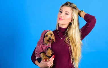 Kız çekici sarışın sarılmak sevimli köpek. Giyim ve aksesuarlar. Evcil hayvan malzemeleri. Soğuk havalar için köpeğini giydir. Köpeklerin kıyafete ihtiyacı var. Hangi köpek ırkları palto giymeli. Kadın yorkshire terrier taşımak