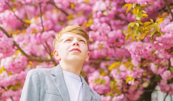 Junge modischer Teenager posiert in der Nähe von Sakura. Kind rosa Blüten von Sakura-Baum Hintergrund. Kerl genießt Kirschblütensakura. Sakura Gartenkonzept. Selbstbewusstes stilvolles Kind genießt warmen Frühlingstag — Stockfoto