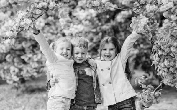 Happy spring vacation. Children enjoy warm spring. Lost in blossom. Girls and boy friends posing near sakura. Kids on pink flowers of sakura tree background. Kids enjoying cherry blossom sakura