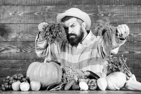 Hombre chef con rica cosecha de otoño. alimentos orgánicos y naturales. Feliz Halloween. Festival de la cosecha. agricultor maduro barbudo. alimentos vitamínicos estacionales. Frutas y hortalizas útiles. chef listo para cocinar. chef de granja —  Fotos de Stock