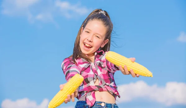 Neşeli kız olgun mısırları tutuyor. Hasat ve eğlence. Çocuklar mısır yemeğine bayılır. Mısır vejetaryeni ve sağlıklı organik ürün. Vejetaryen beslenme konsepti. Küçük kız gökyüzünde sarı mısır koçanı tutuyor. — Stok fotoğraf