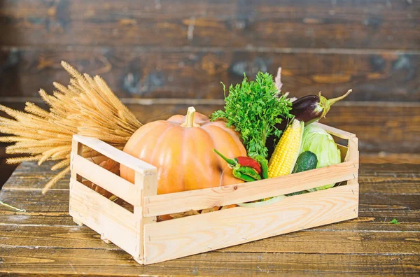 Fall harvest concept. Autumn harvest crops vegetables. Locally grown natural food. Farmers market. Homegrown vegetables. Ripe local farm vegetables. Fresh organic healthy vegetables garden box