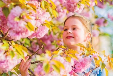 çiçek kokusu, alerji. bahar çiçek çiçek küçük kız. kiraz çiçek mutlu kız. Sakura ağacı açıyor. Skincare. Cilt için doğal kozmetik. yaz tatili. Çocukluk. Bahar tatilinin tadını çıkarma