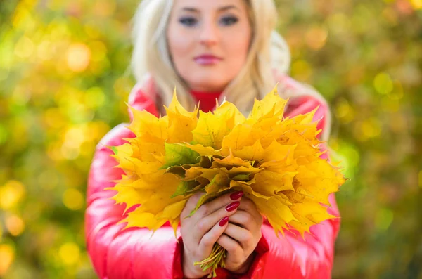 Осінь - її улюблений сезон року. Дівчина мрійливе обличчя тримає букет кленового листя. Жінка гуляє в осінньому парку. Пані позує з листям осіннього природного фону. концепція традиційних атрибутів осені — стокове фото