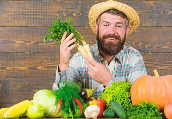 Man cheerful bearded farmer hold horseradish wooden background. Grow organic crops. Farmer straw hat presenting fresh vegetables. Farmer with homegrown harvest. Farmer rustic villager appearance