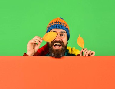 Kiraz ağacı yaprakları yeşil ve turuncu zemin üzerine adam tutar