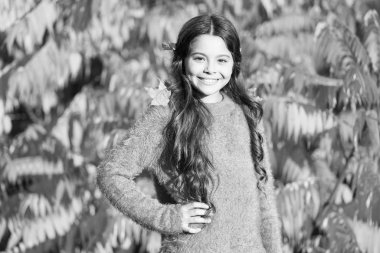 Her zaman saç stilini değiştirmek için davet edilirsin. Uzun esmer saçlı bir kız çocuğu. Küçük çocuk sonbahar gününün tadını çıkar. Saçında sonbahar yaprakları olan küçük bir kız. Saçlarım uzayıp uzuyor.