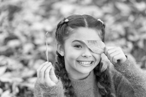 Feliz infância. Hora da escola. Criança pequena com folhas de outono. Menina feliz na floresta de outono. Folhas de outono e natureza. Sentindo-se livre e relaxado. Feliz por estar por perto. Beleza na moda — Fotografia de Stock