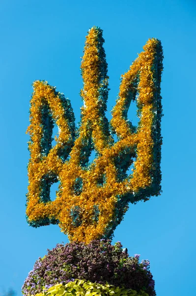 Statlig vapensköld Ukraina gjord av blommor blå himmel bakgrund. Självständighetsdagen. Tryzub koncept. Blå sköld med guld Trident. Symbol Ukraina. Ukraina firar sin självständighet den 24 augusti — Stockfoto