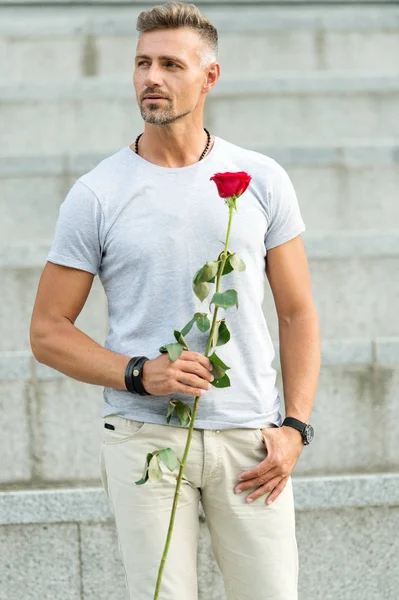 Το ειδύλλιο μπορεί να ενισχύσει την ερωτική σου ζωή. Άνθρωπος ώριμο μάτσο με ρομαντικό δώρο. Όμορφος τύπος με ροζ λουλούδι ρομαντικό ραντεβού. Ημέρα του Αγίου Βαλεντίνου και επέτειος. Παράδοση λουλουδιών. Ρομαντικός κύριος — Φωτογραφία Αρχείου