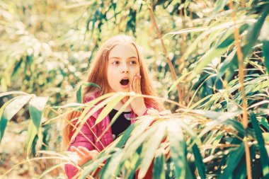 Bahçeyi keşfedin. Botanik bahçesine gezi. Halka açık olmak için yetiştirilen bitkiler. Kız botanik bahçesinde yürümek. Doğanın tadını çıkarıyorum. Huzurlu bir çevre bahçesi. Çocuk sevimli fantezi çocuk parkta zaman geçirmek