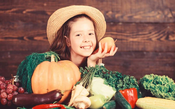 Jonge boer met oogst houten achtergrond. Familie boerderij festival concept. Traditioneel herfstfeest. Boerderij activiteiten voor kinderen. Meisje boerderij markt met herfst oogst. Kind viert oogsten — Stockfoto