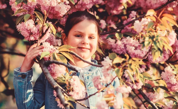 스킨케어 스파. 피부를위한 천연 화장품. 벚꽃에 행복한 소녀입니다. 벚꽃 나무가 만발합니다. 봄 꽃 꽃에 작은 소녀. 여름. 어린 시절의 아름다움. 꽃 냄새, 알레르기. 여름 컬렉션 — 스톡 사진